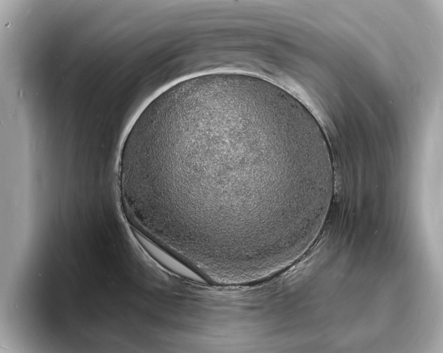 X0000094061532200710261215