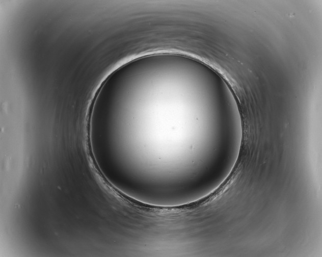 X0000094061534200710261215