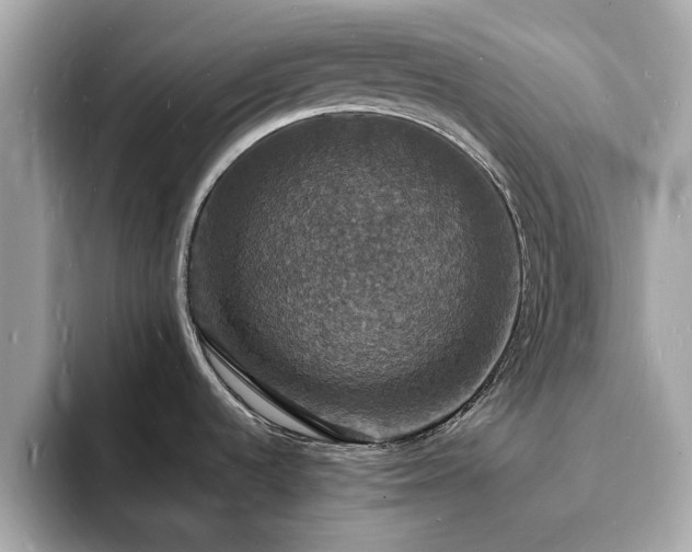 X0000094061536200710261215