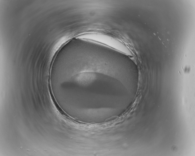 X0000094060003200711021457