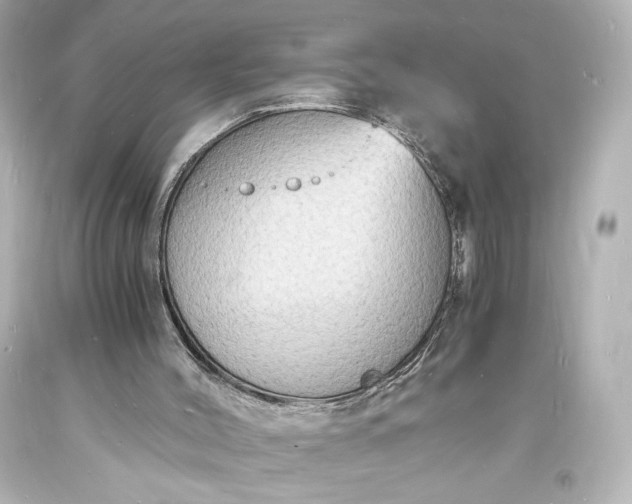X0000094060004200711021457