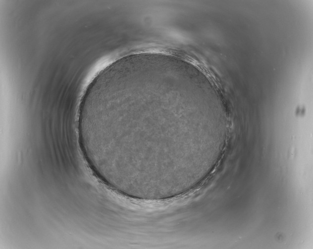 X0000094060006200711021457