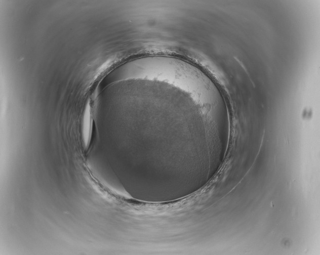 X0000094060009200711021457