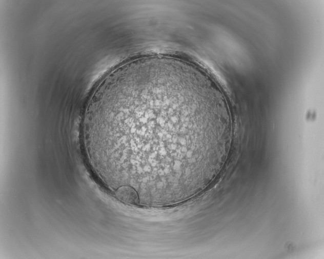 X0000094060010200711021457