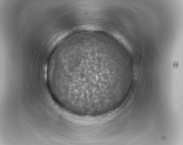 X0000094060014200711021457