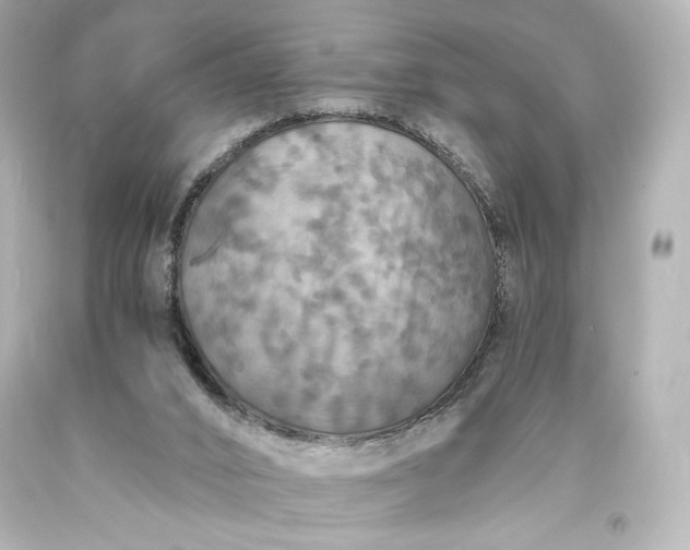 X0000094060016200711021457