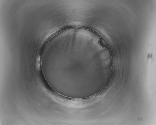 X0000094060024200711021456