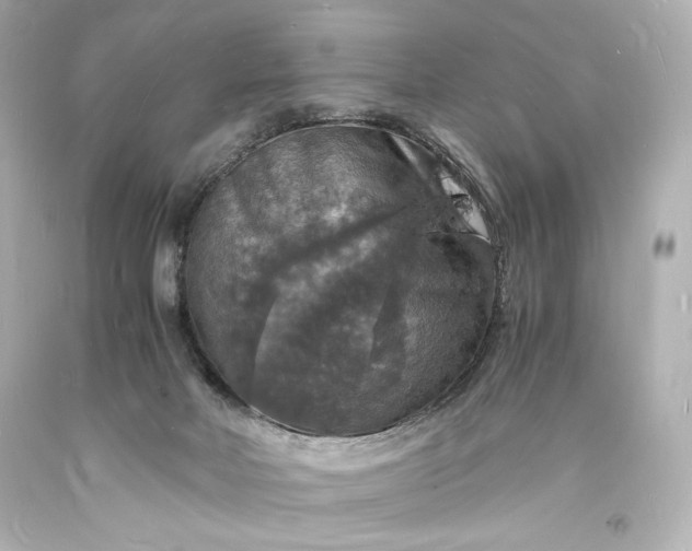 X0000094060026200711021456