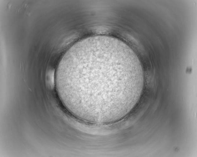X0000094060028200711021456