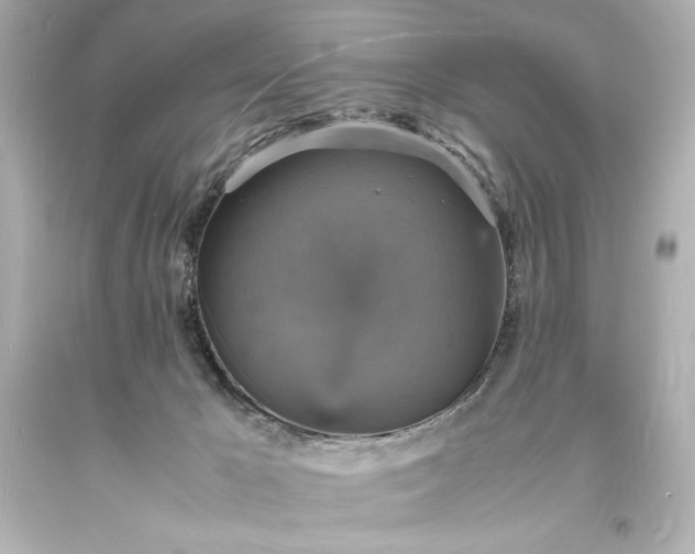 X0000094060029200711021456