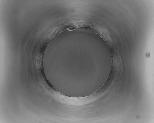 X0000094060030200711021456