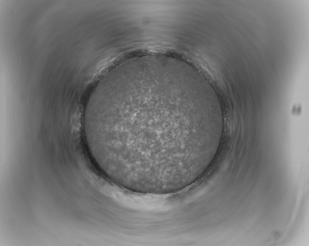 X0000094060032200711021456