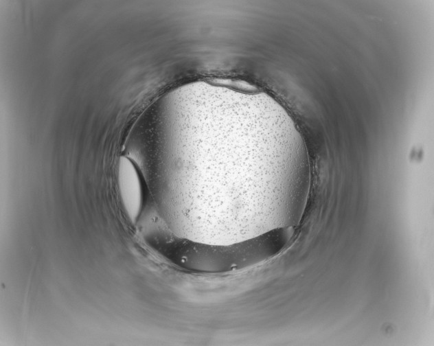 X0000094060033200711021456