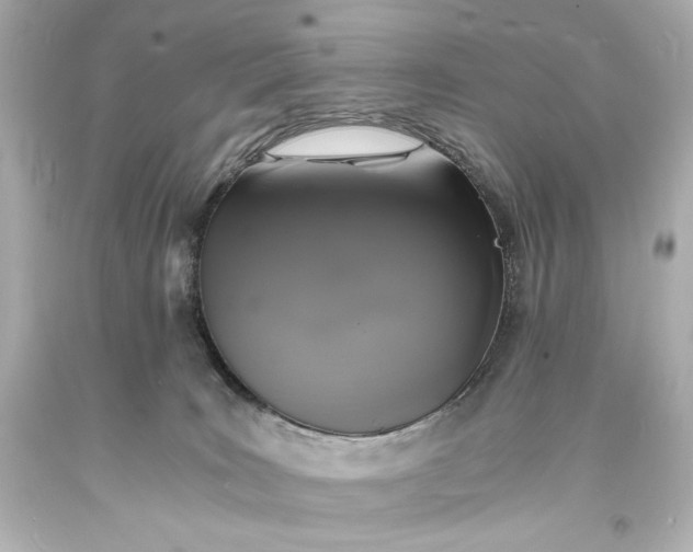 X0000094060035200711021456