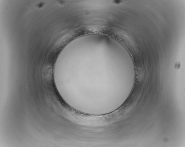 X0000094060036200711021456