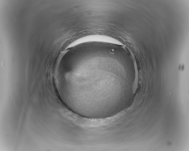 X0000094060037200711021456