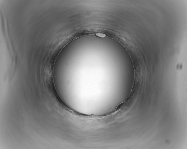 X0000094060040200711021456