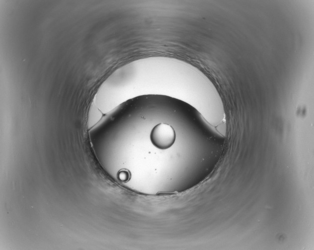 X0000094060041200711021456