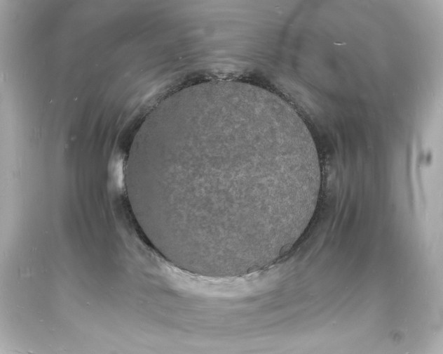 X0000094060042200711021456