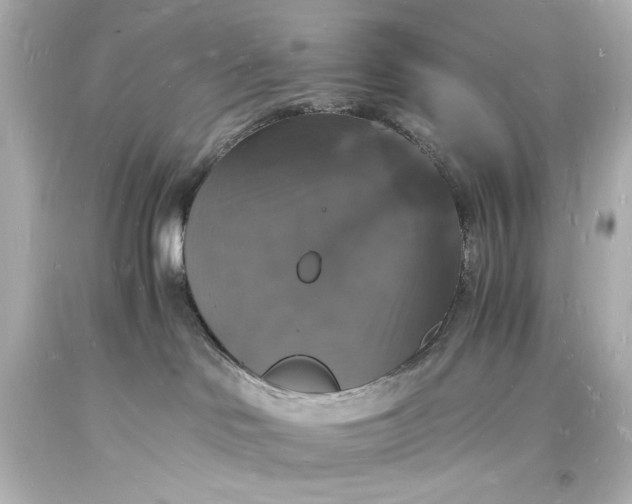 X0000094060046200711021456