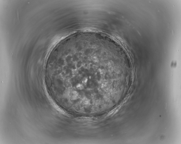 X0000094060049200711021455