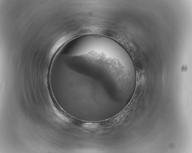 X0000094060051200711021455