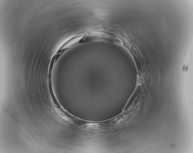 X0000094060052200711021455