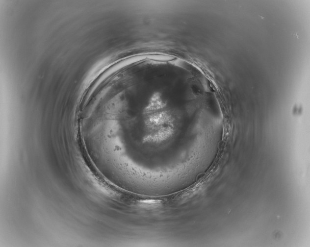 X0000094060053200711021455