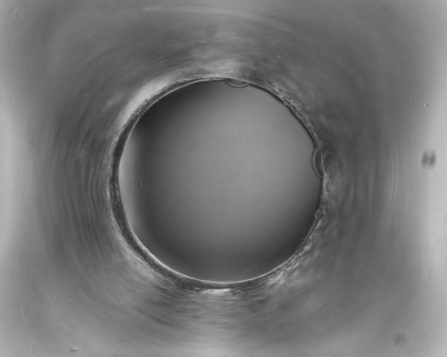 X0000094060054200711021455