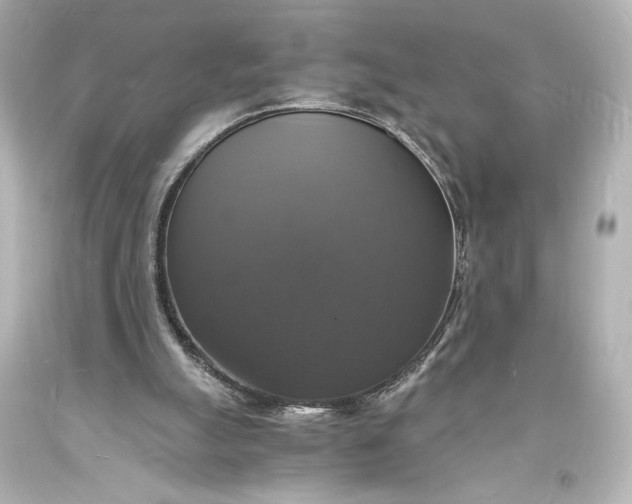 X0000094060055200711021455