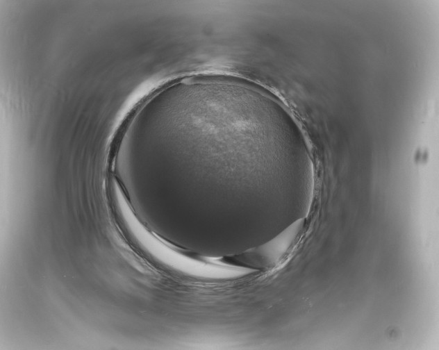 X0000094060056200711021456