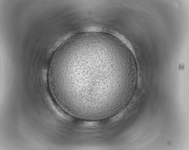 X0000094060057200711021456