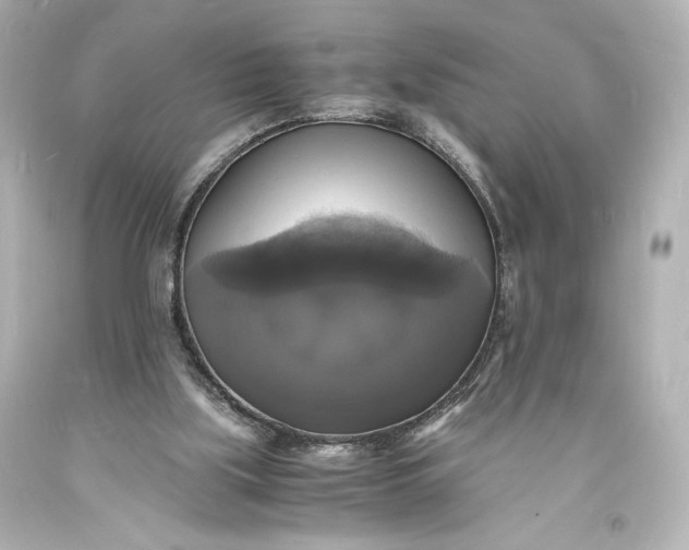 X0000094060059200711021456