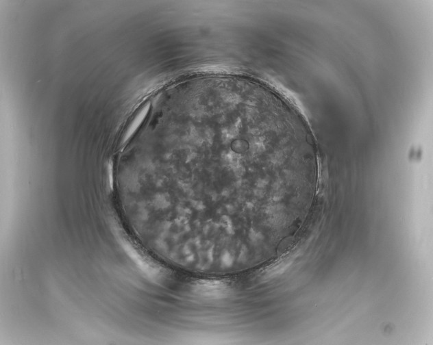 X0000094060061200711021456