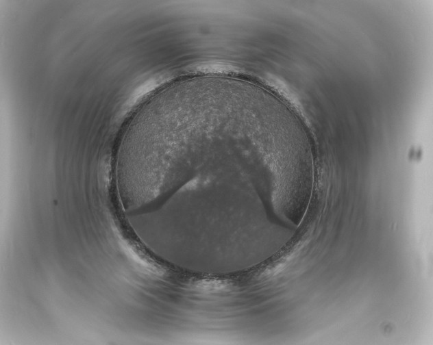 X0000094060063200711021456