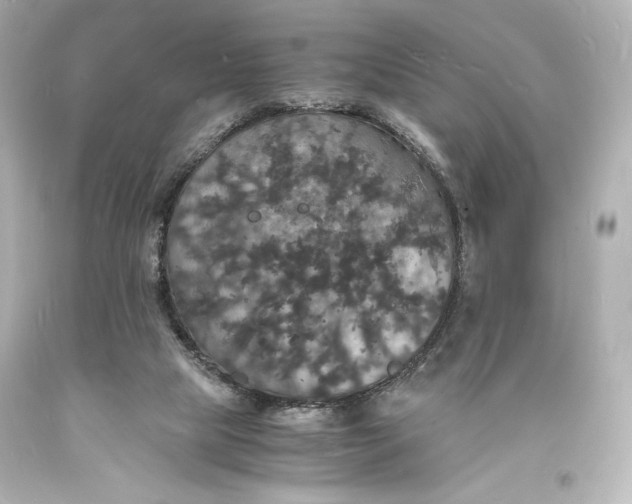 X0000094060065200711021456