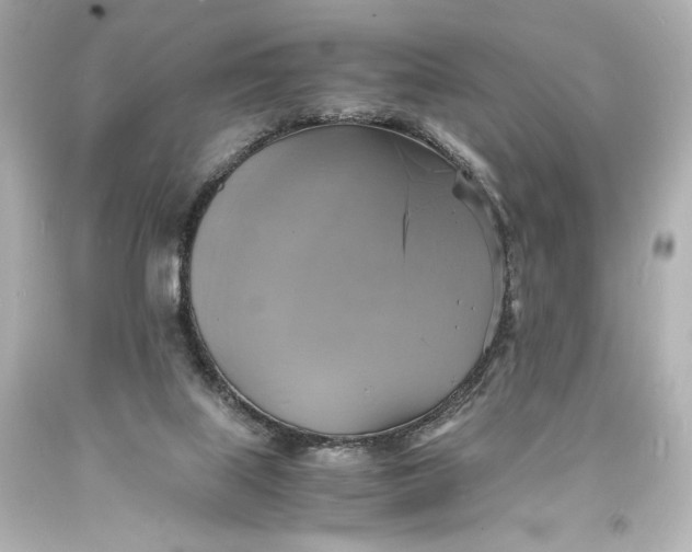 X0000094060067200711021456