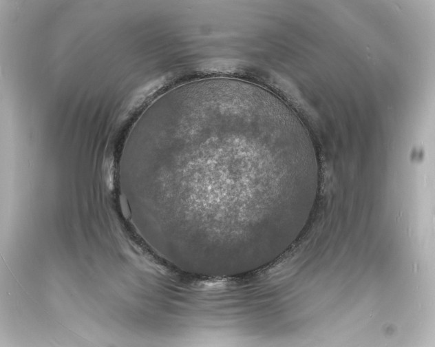 X0000094060068200711021456