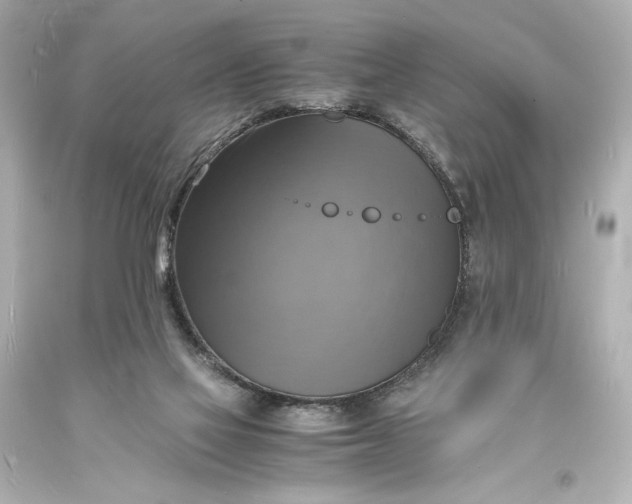 X0000094060069200711021456