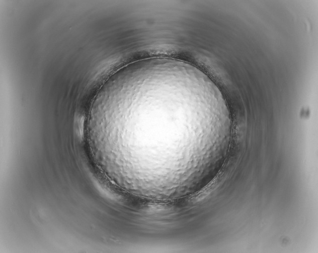 X0000094060070200711021456