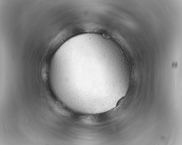X0000094060074200711021456