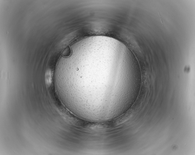 X0000094060075200711021456