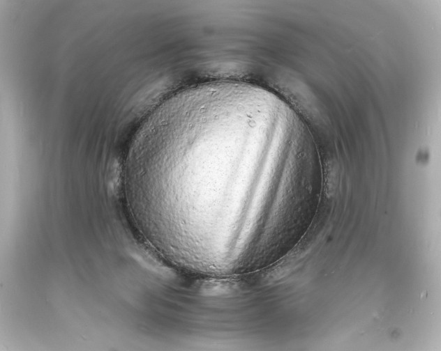 X0000094060077200711021456