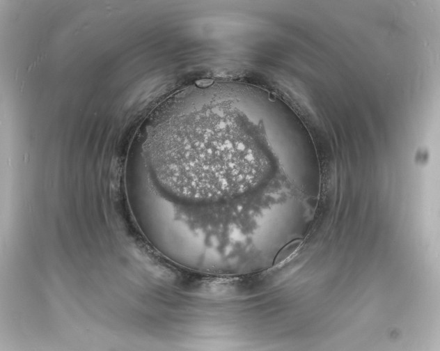 X0000094060078200711021456