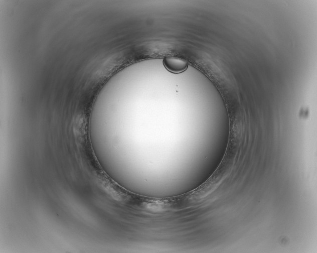 X0000094060079200711021456