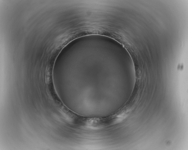 X0000094060080200711021456