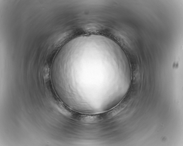 X0000094060081200711021456