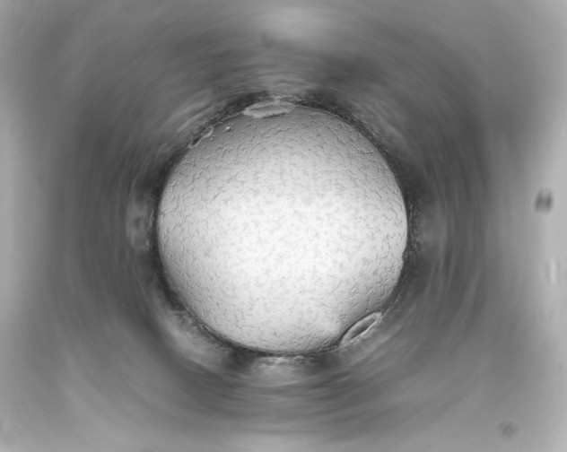 X0000094060082200711021456