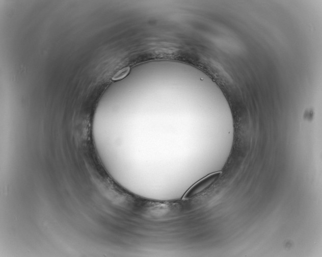 X0000094060083200711021456