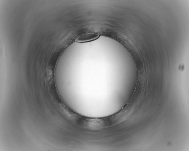 X0000094060087200711021456